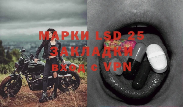 стафф Беломорск