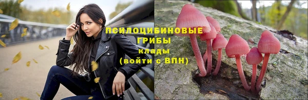 стафф Беломорск