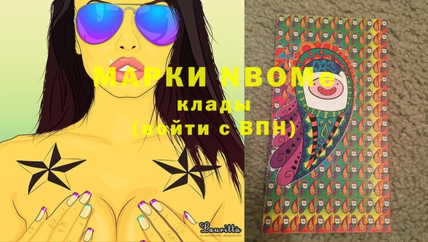 шишки Дмитров